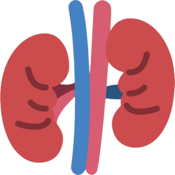 الدكتور هاني الحمد